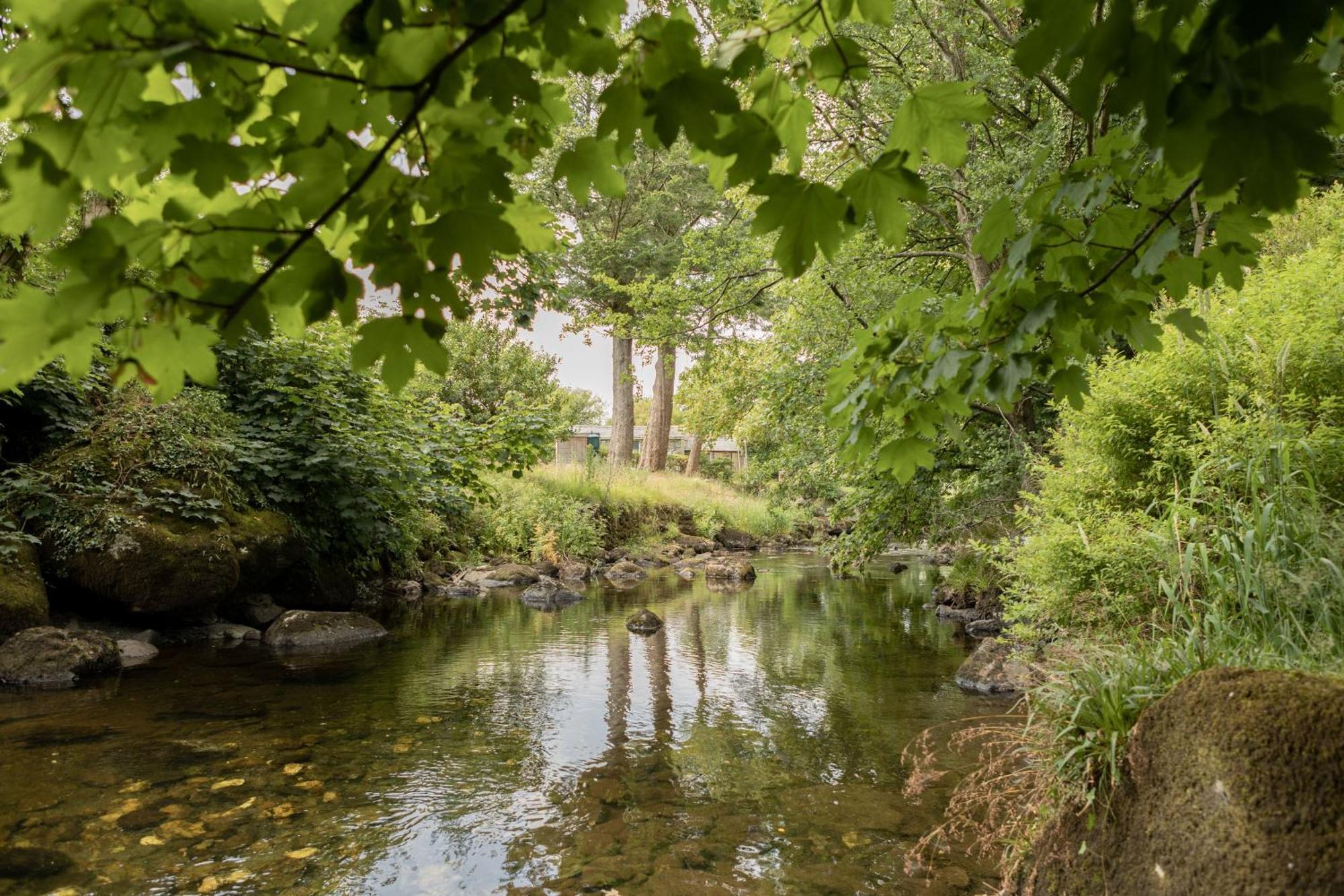 Afonfa - Llanuwchllyn Villa Bala Kültér fotó